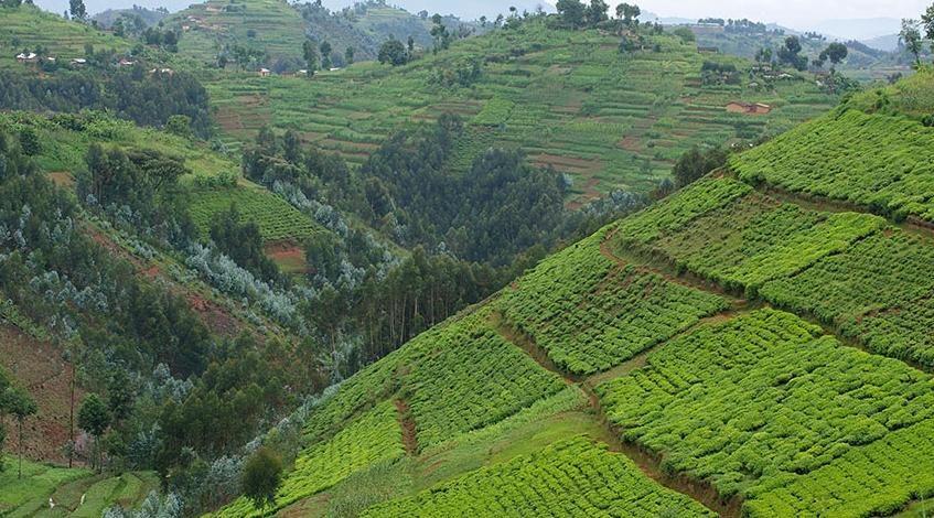 Made In Africa : Visite au Rwanda