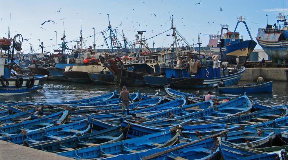 Port d'Essaouira : Chute de 47% des débarquements de la pêche côtière et artisanal…