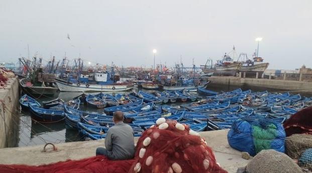 Maroc/Pêche : Hausse de la valeur des produits commercialisés de 29% à fin octobre…